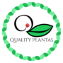 Quality Plantas